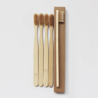 Soft Bristle Toothbrush for Preventing Gum Bleeding