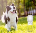 Διανομέας πόσιμου νερού για σκύλους Pet Drink Cup Πλαστικό μπουκάλι νερού Pet Dog με κρεμαστό σχοινί