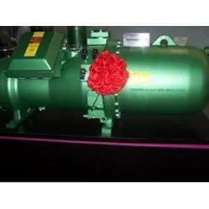 Bitzer Screw Compressor