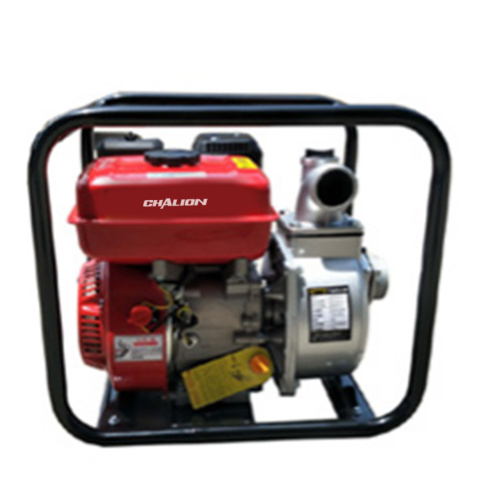 Mini Farm Water Pump Generator For Garden