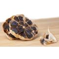 Good Taste Fermented Black Garlic 5.5-6.5Cm Bulbs