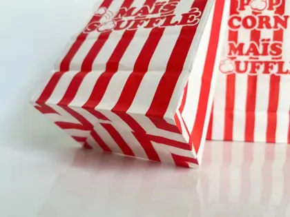 Biodegradable Bag Food Packaging