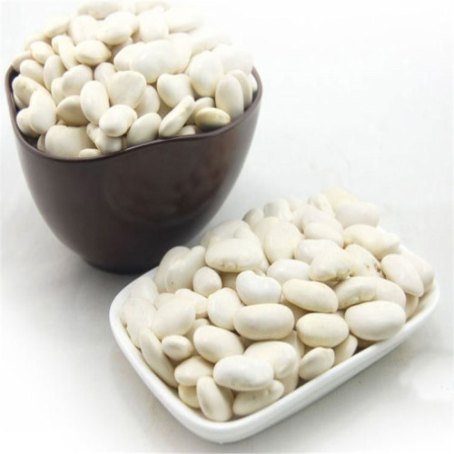 White Kidney Beans Square Shape