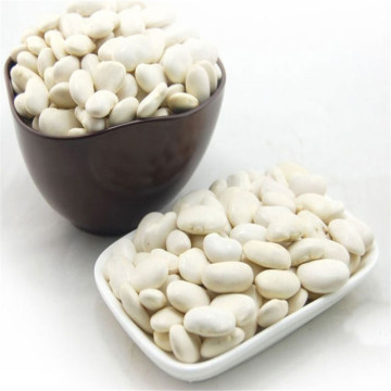 White Kidney Bean P. E.