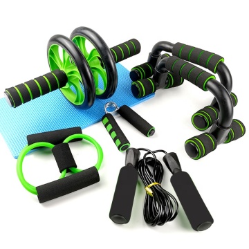 6-in-1 Ab Wheel Roller Kit - Home Workout Abdominal Wheel & Push-up Bar