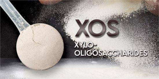 Xylo Oligosaccharide Powder3