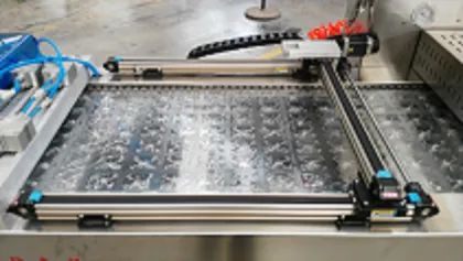 Pickled Vegetables Series Vacuum Packing Machines