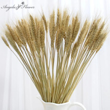 100pc Natural Dried Flower Real Wheat Ear Pampas grass Garden Plants Wheat Bouquet Wedding Party Christmas Home Decor Craft Gift