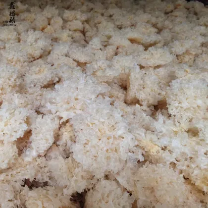 Organic Tremella Mushroom Fresh Products