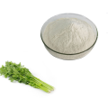 supply Freeze dried Aloe vera extract powder