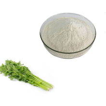 High Quality Fermented Celery Juice Powder Organic
