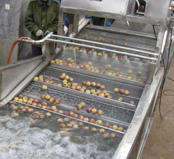Air Bubble Ozone fruit and vegetable cleaning machine Industrial Washing Machine