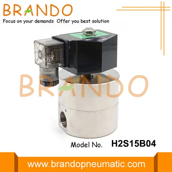200bar High Pressure Solenoid Valve 24V 110V 220V