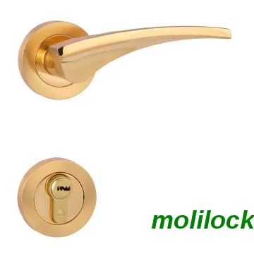 Room Door Lock, Double Entrance Door Lock