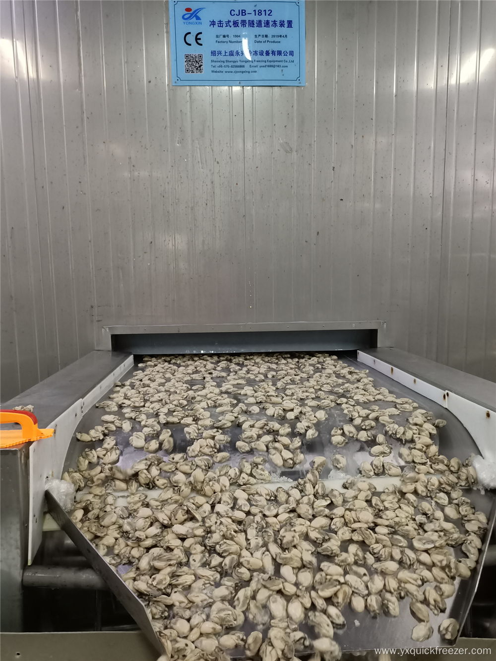 IQF Blast Freezer For Seafood Processing