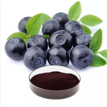 Blueberry extract powder for sale