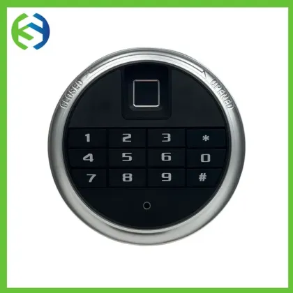 Integrated Biometric Safe Lock System