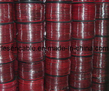 Rotes und schwarzes Lautsprecherkabel