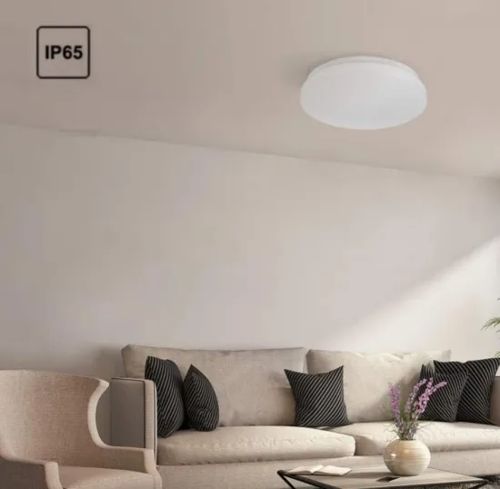 Emergency ceiling light for hotel stairs