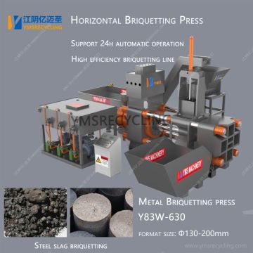 Rasse-métal horizontal Briquetting Press