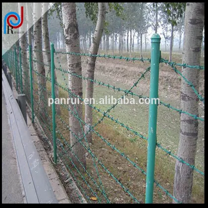 IOWA Powder Coating Barbed Wire For Road