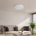 Indoor emergency ceiling light IP65