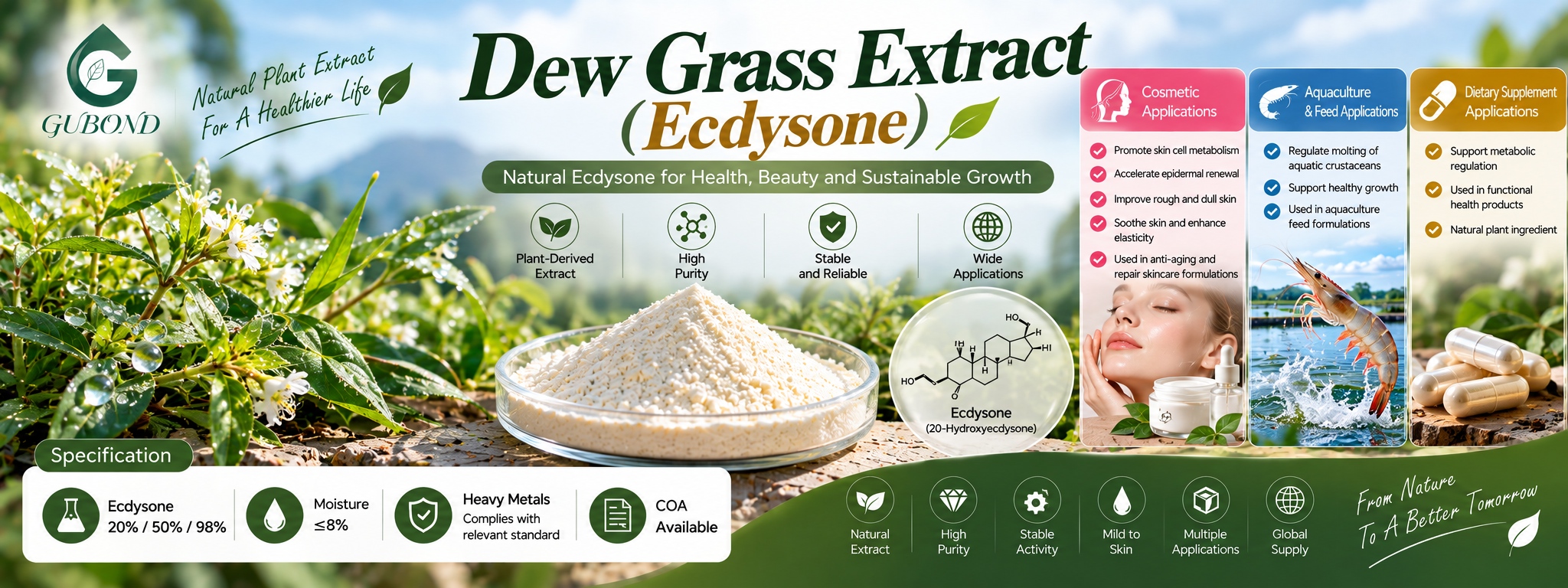 Dew grass extract (Ecdysone) (7)