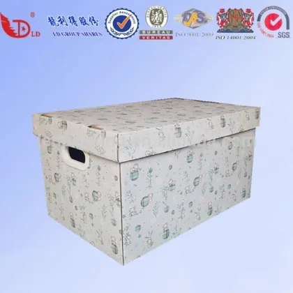 A4 file box ,endo file box ,paper file box.