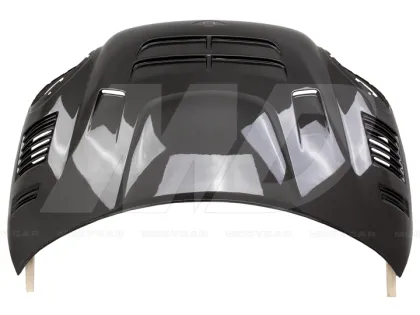 Duell Ag Style Carbon Fiber Hood for 2010 Mini Countryman Cooper S R60