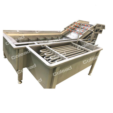 Fruit and vegetable processing machine lettuce washing line