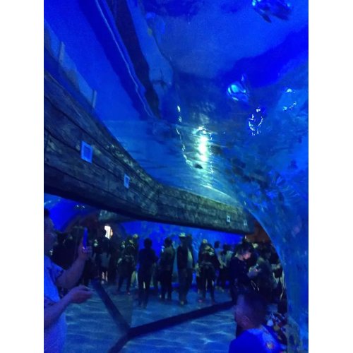 Undervattens akryltunnel för Sea World Aquariums