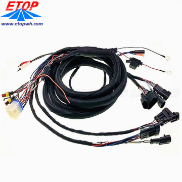 Complicated Automobile ECU and Relay Connector Cable Harness