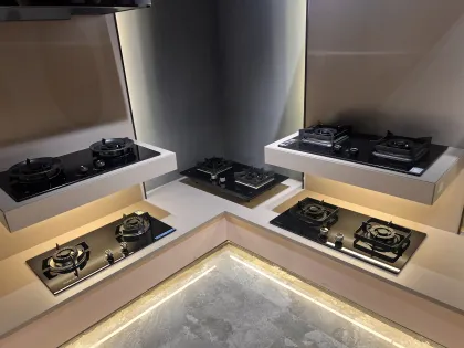 OEM Household Gas Cooker Manufacturers Wholesale