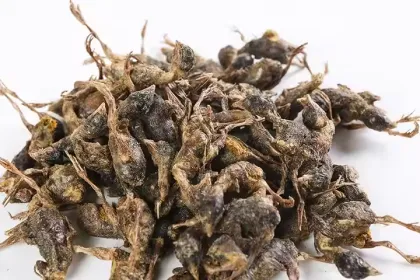 Wholesale Pet Cats Snacks Freeze Dried Quail