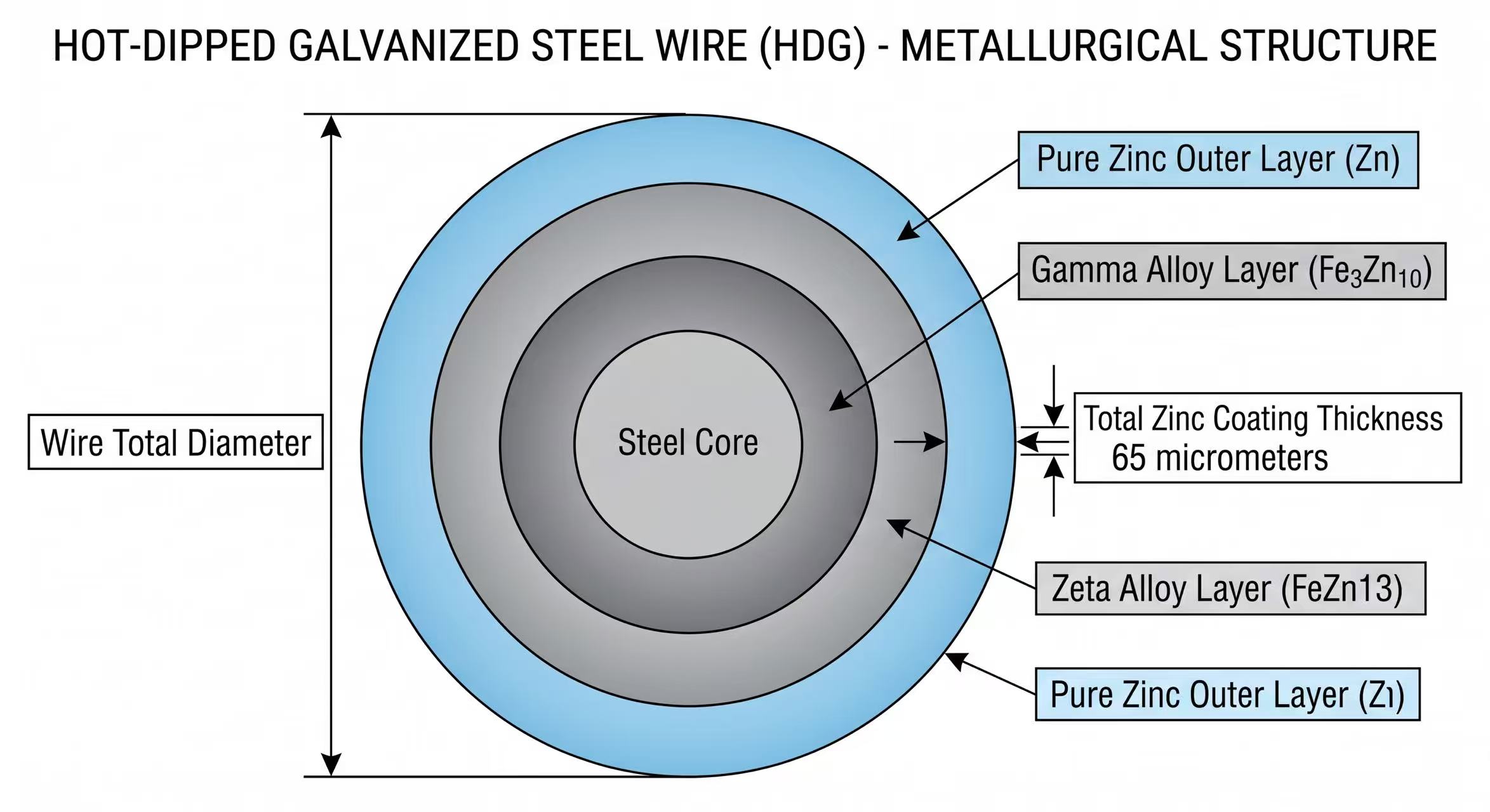 ANJIA Group cross-section diagram of hot-dipped galvanized steel wire