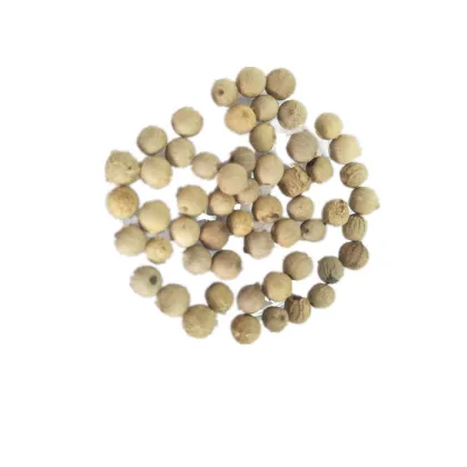 Hot Sale White Pepper Whole