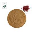 Hot Sell Top Quality Schisandra Extract Powder