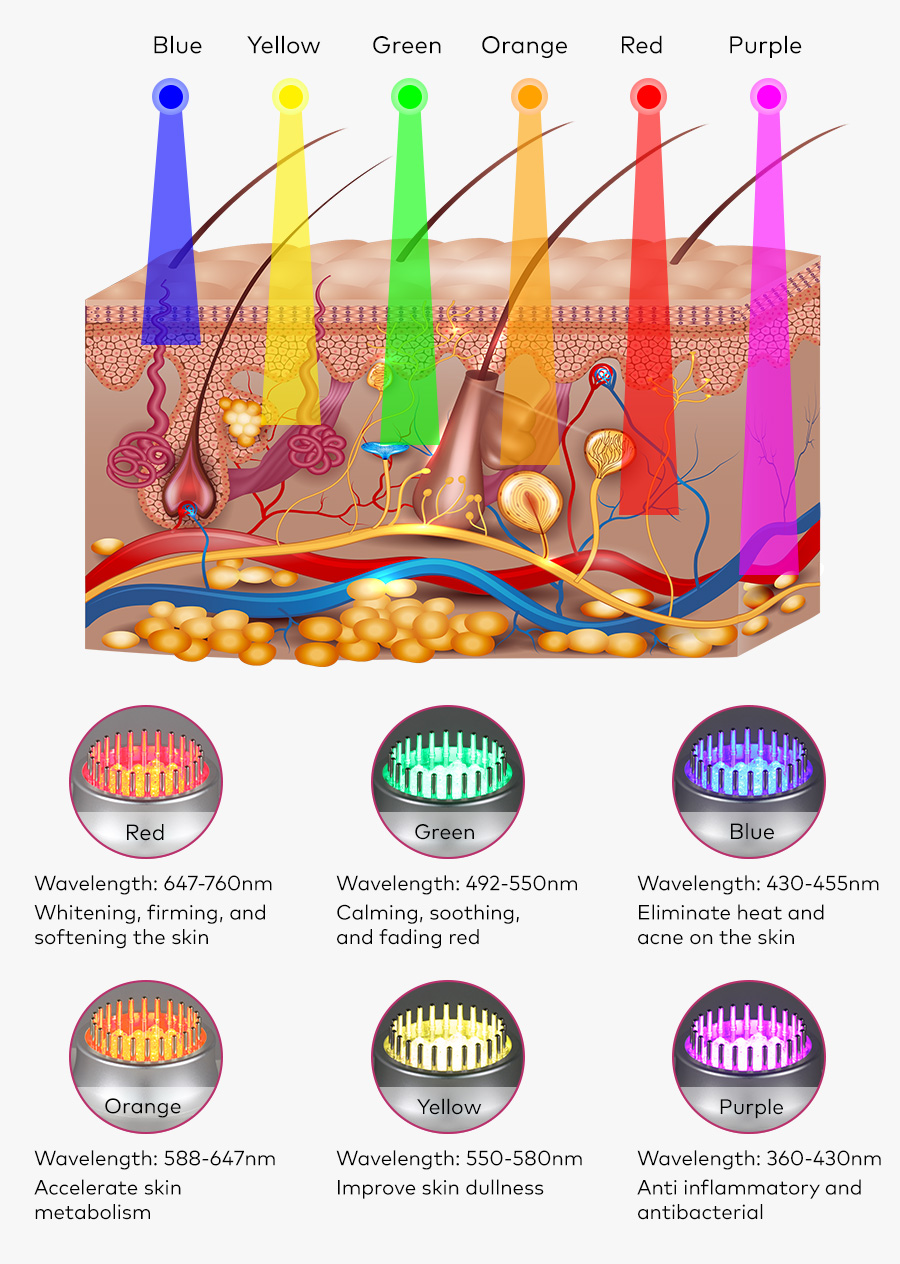 machine de cavitation ultrasonique