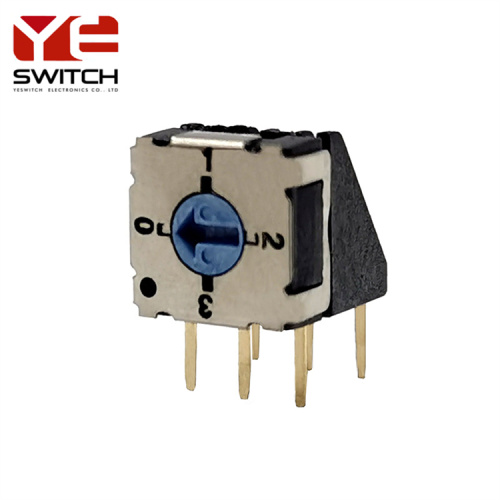 genom hål 10 position Rotary Dip Switch