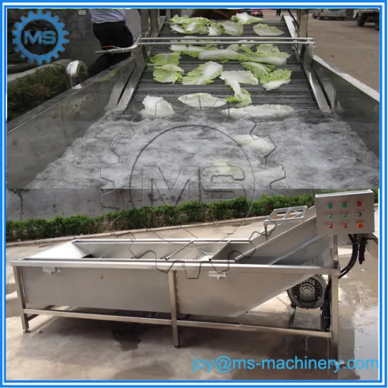 500kg and 1000kg air bubble leafy fruits vegetable washer/ozone vegetable washer