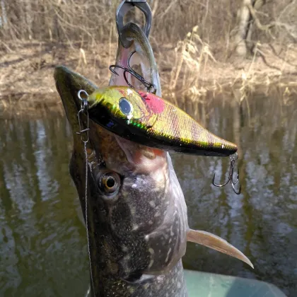 Hot Selling OEM 155mm 76g Mixed Colors Sinking Minnow Jerk Bait