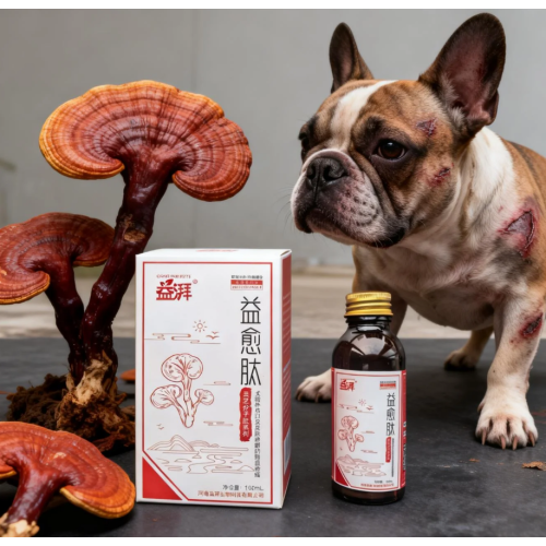 Pet Yara İyileştirici Besleyici Sıvı