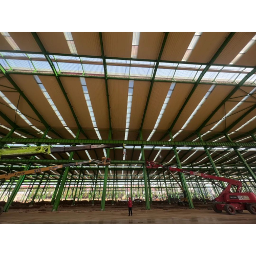 Жоғары сапалы болат құрылымы Prefab жылыжайы