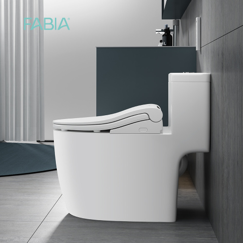 Luxury Bidet Wc Electric Toilet Seat