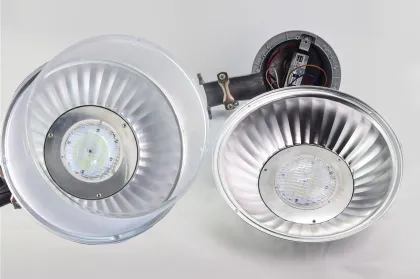 Dusk to Dawn 40W Light