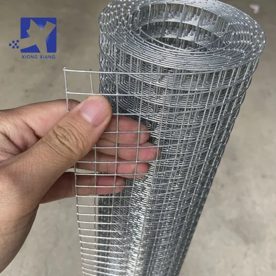 Multifunctional Electro-Welded Galvanized Bird Cage