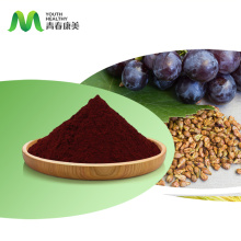 Grape Seed Extract Powder