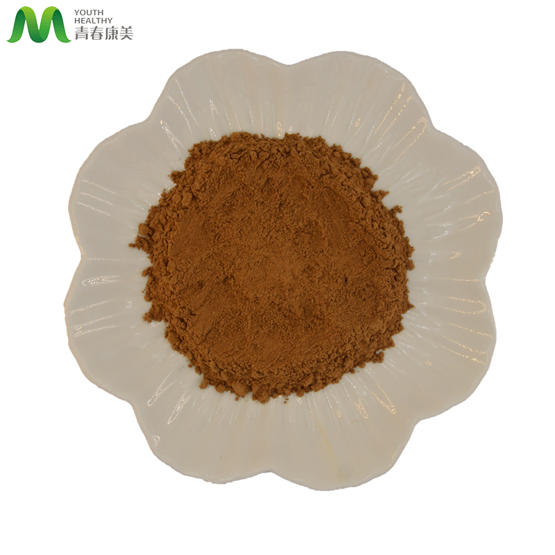 Alto valor nutricional negro Maca de extracto en polvo