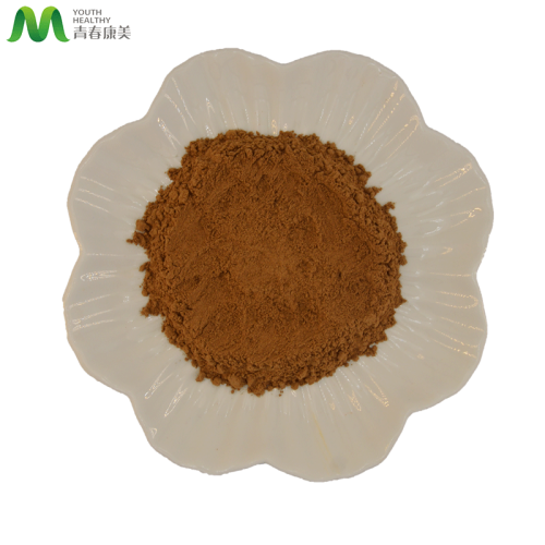 Other Plant Extract HIgh Nutritional Value Black Maca Root Extract Powder Factory