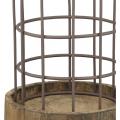 Large Metal Wire Cage Cloche